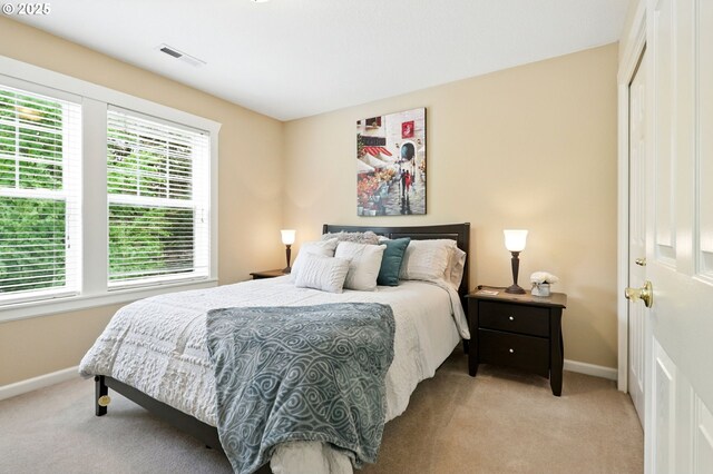 20817 NE 101st Ct, Battle Ground, WA 98604 - bedroom with light carpet, multiple windows, and a closet