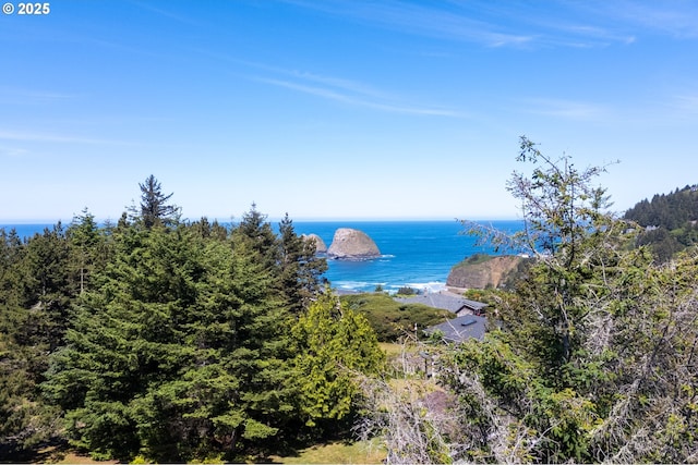 Castle Pl Unit Tl 103, Oceanside, OR 97134