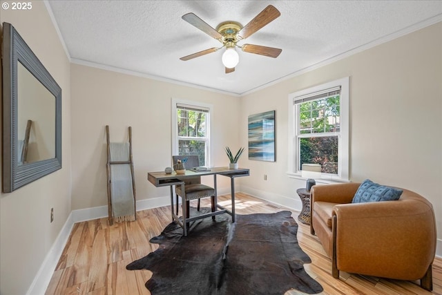 home office with ornamental molding, a wealth of natural light, and light wood finished floors