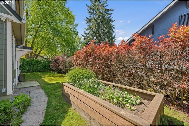 view of yard with a vegetable garden