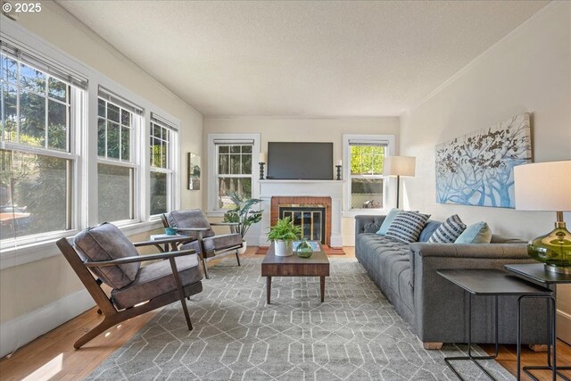 living room featuring crown molding, a textured ceiling, wood finished floors, and a fireplace