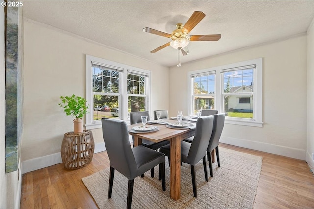 dining space with crown molding, baseboards, light wood-type flooring, and a textured ceiling