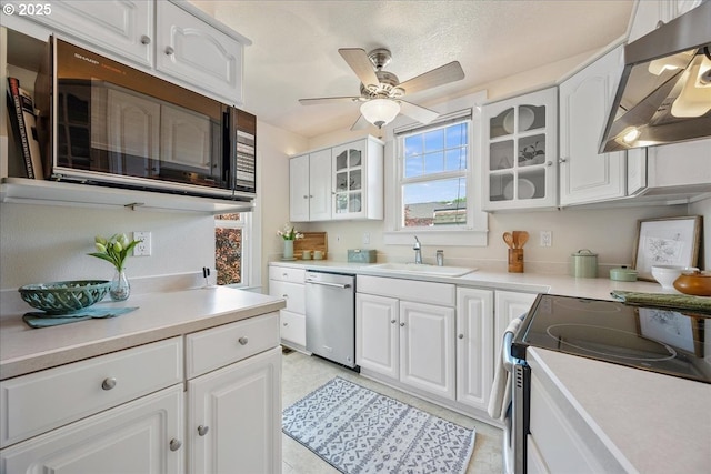 kitchen featuring ventilation hood, appliances with stainless steel finishes, a healthy amount of sunlight, and a sink