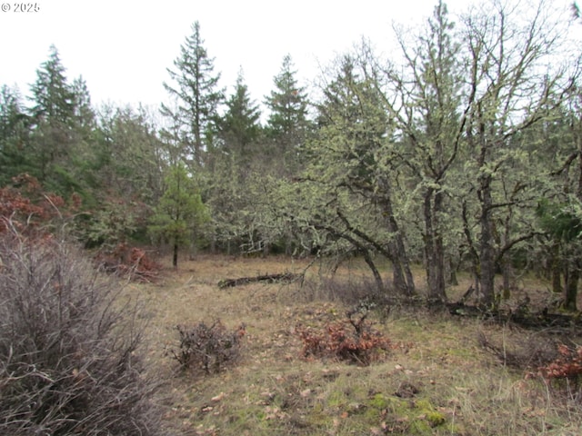 Listing photo 2 for 55 Bertha N Orchard Rd, Lyle WA 98635