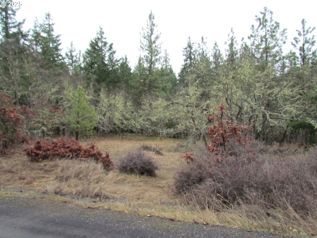 Listing photo 3 for 55 Bertha N Orchard Rd, Lyle WA 98635