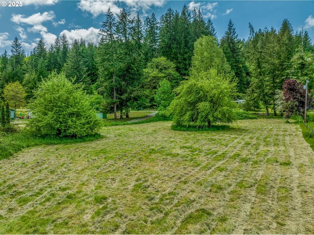 view of grassy yard