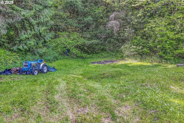 view of green lawn