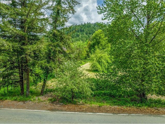 view of tree filled area