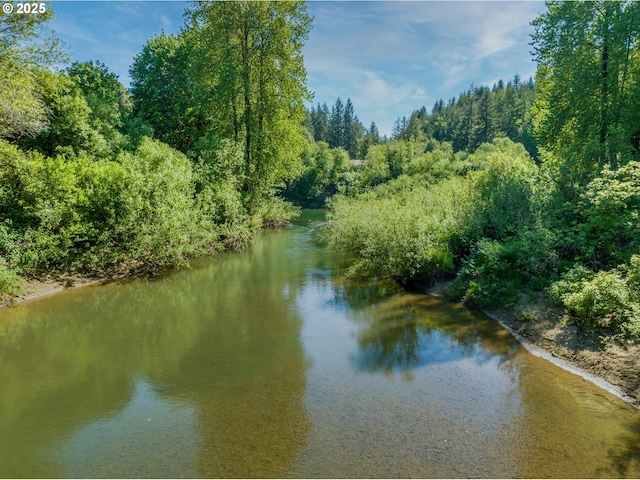 water view featuring a heavily wooded area