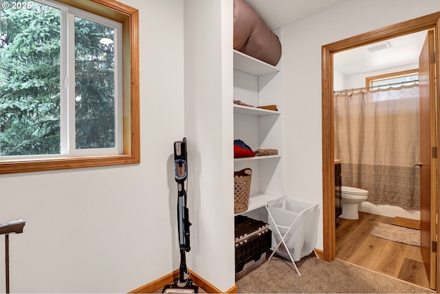 walk in closet featuring wood finished floors