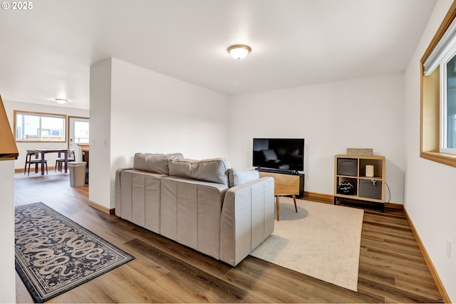 living area featuring wood finished floors and baseboards