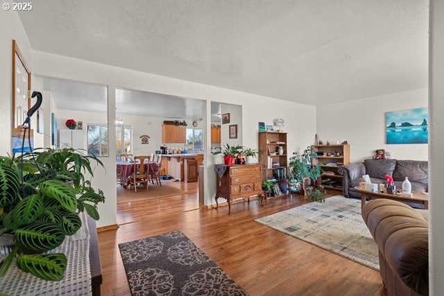 living room featuring wood-type flooring