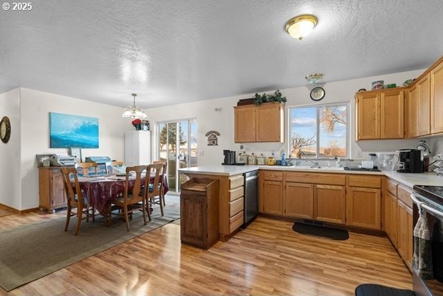 kitchen with hanging light fixtures, kitchen peninsula, stainless steel appliances, and light wood-type flooring