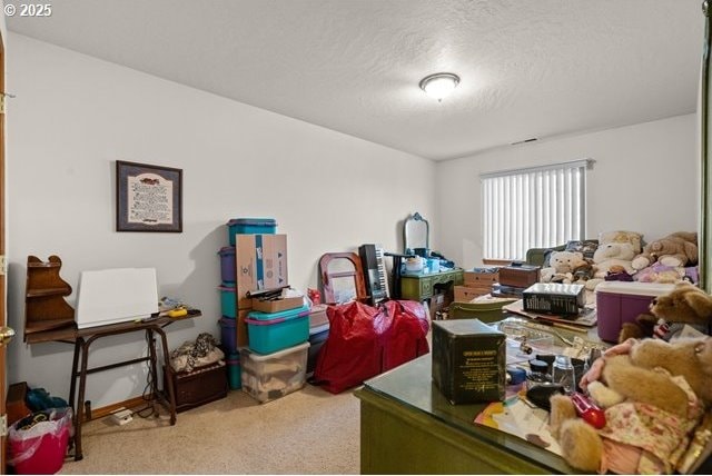 miscellaneous room featuring a textured ceiling and carpet flooring