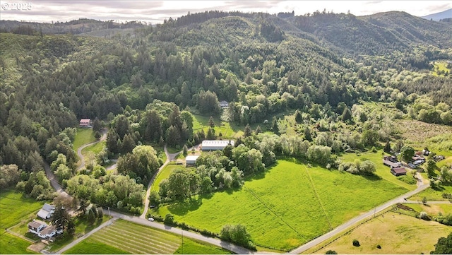 drone / aerial view of a forest and a mountain backdrop