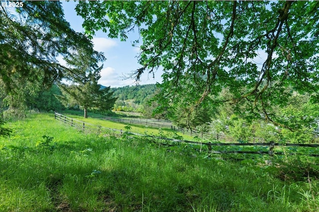 view of local wilderness featuring rural landscape