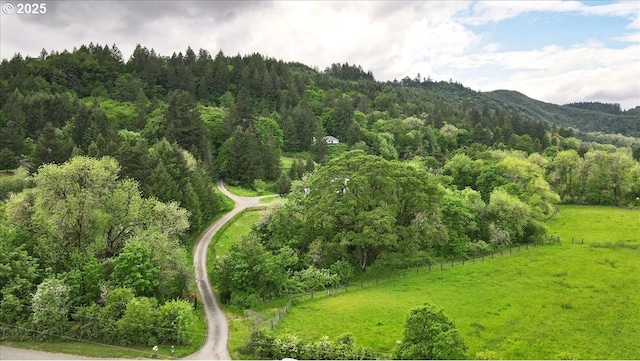 drone / aerial view of a forest and a mountain backdrop