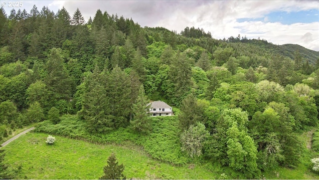 drone / aerial view of a heavily wooded area