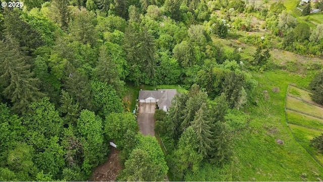 aerial overview of property's location