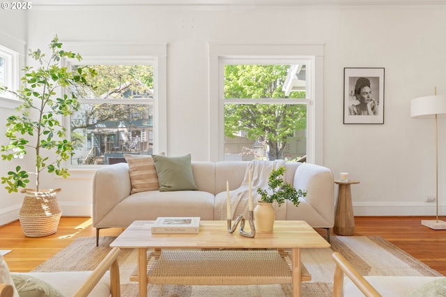 living area featuring wood finished floors and baseboards