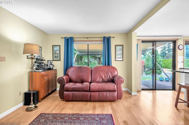 15645 NE Russell Pl, Portland, OR 97230 - living room featuring light wood-type flooring and healthy amount of natural light