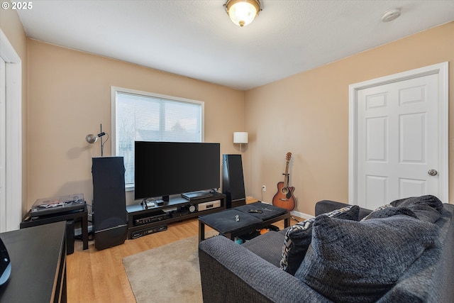 living room with light hardwood / wood-style floors