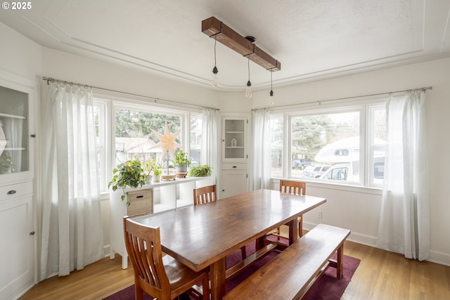 dining space featuring light hardwood / wood-style flooring and a wealth of natural light