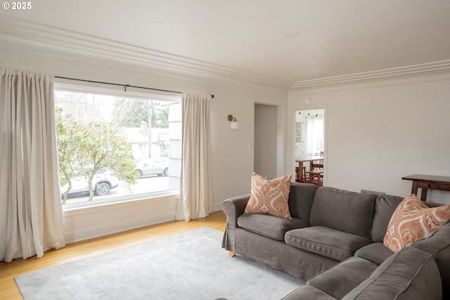 living room featuring ornamental molding and light wood-type flooring