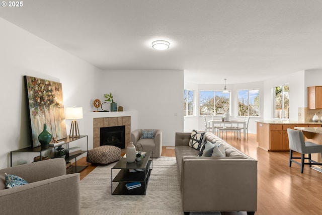 living room with a fireplace and light wood-type flooring