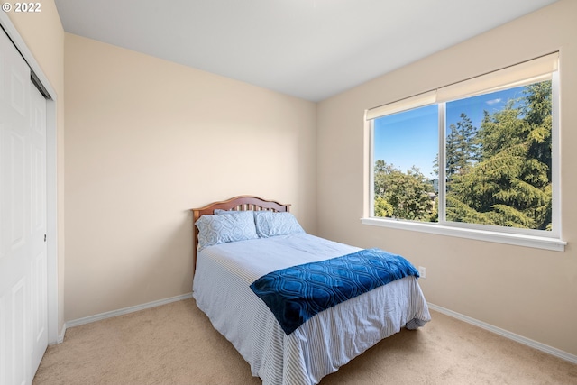 bedroom featuring carpet floors, baseboards, and a closet