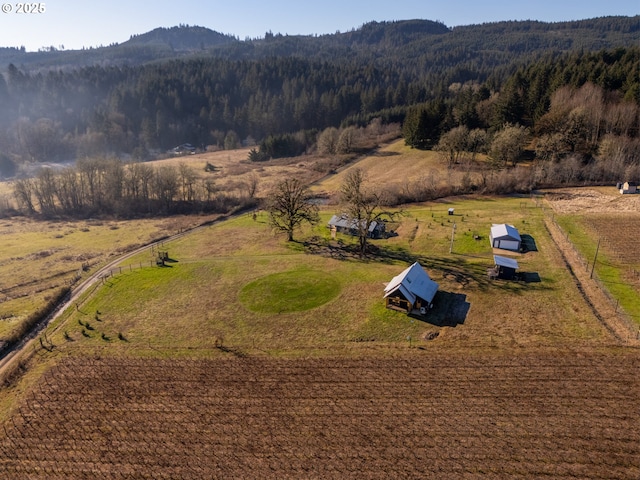 birds eye view of property featuring a mountain view and a rural view