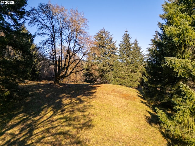 view of landscape