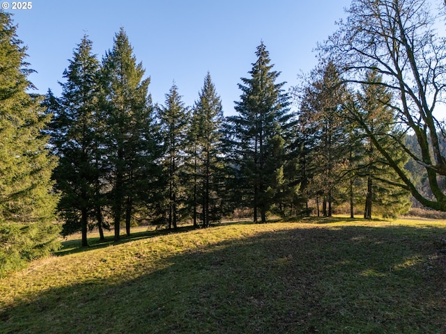 view of landscape