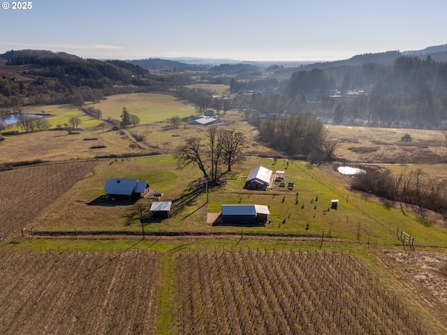 bird's eye view featuring a water view and a rural view