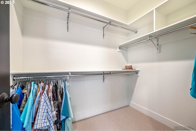 spacious closet featuring light colored carpet