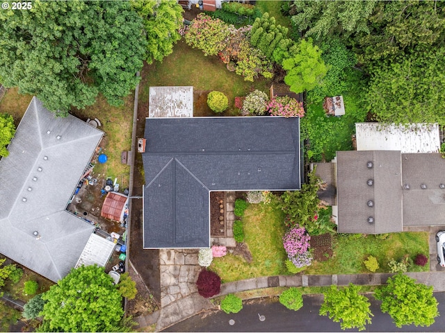bird's eye view