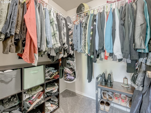 35530 Edies Way, Saint Helens, OR 97051 - spacious closet with carpet