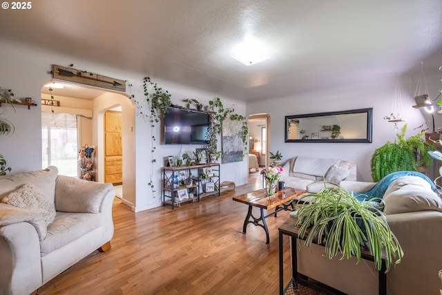 living room featuring wood finished floors and arched walkways