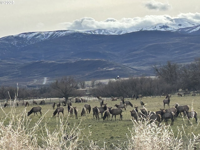 37102 Woods Ln, Richland, OR 97870 - property view of mountains with a rural view