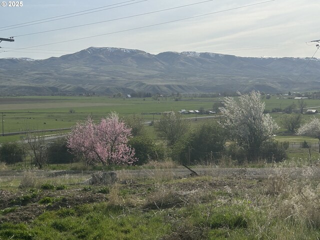 37102 Woods Ln, Richland, OR 97870 - view of mountain feature with a rural view