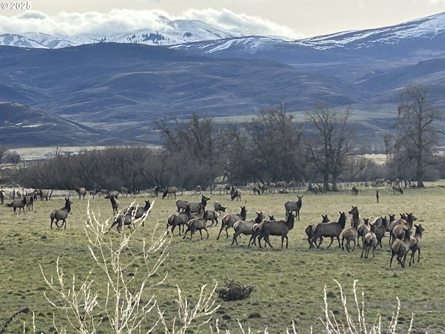 37102 Woods Ln, Richland, OR 97870 - property view of mountains featuring a rural view