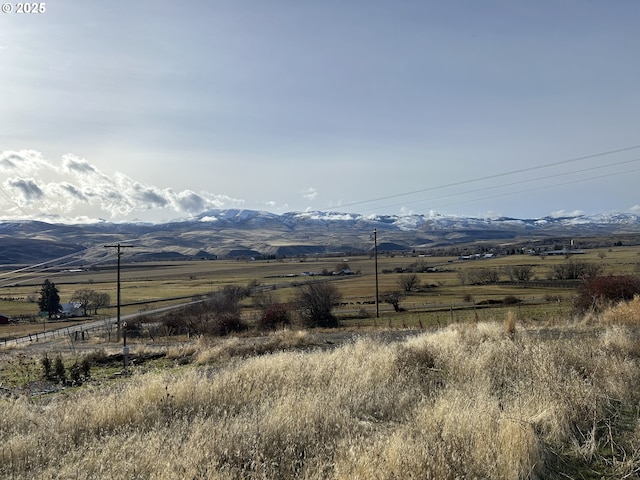 37102 Woods Ln, Richland, OR 97870 - property view of mountains with a rural view