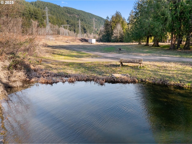 property view of water featuring a mountain view