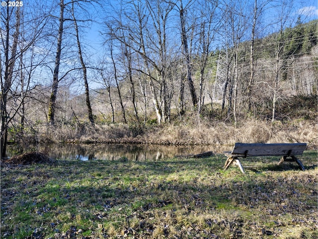 view of yard with a water view and a view of trees