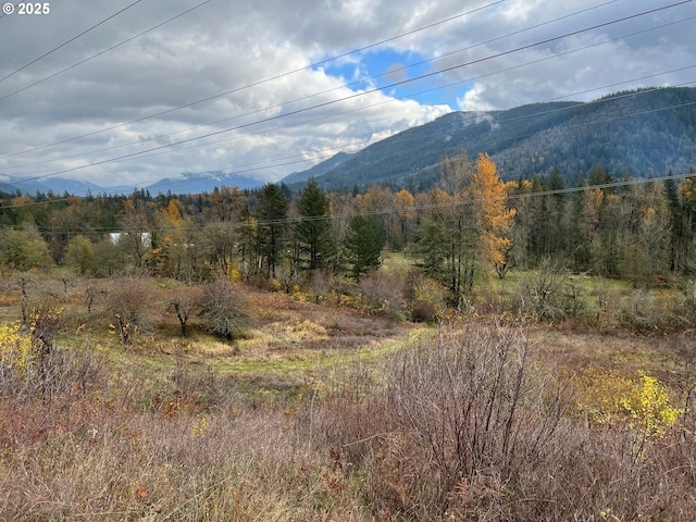 property view of mountains featuring a forest view