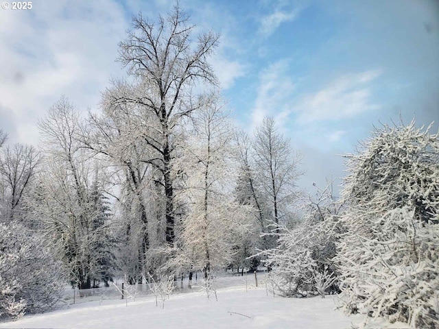 view of local wilderness