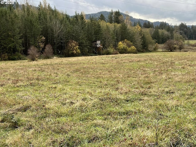 view of nature featuring a forest view