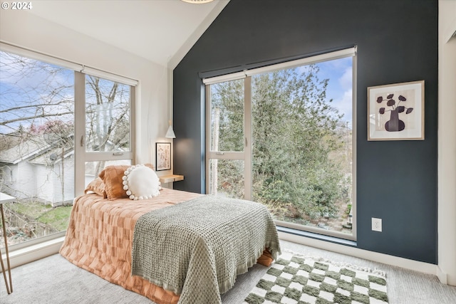 bedroom with lofted ceiling and carpet