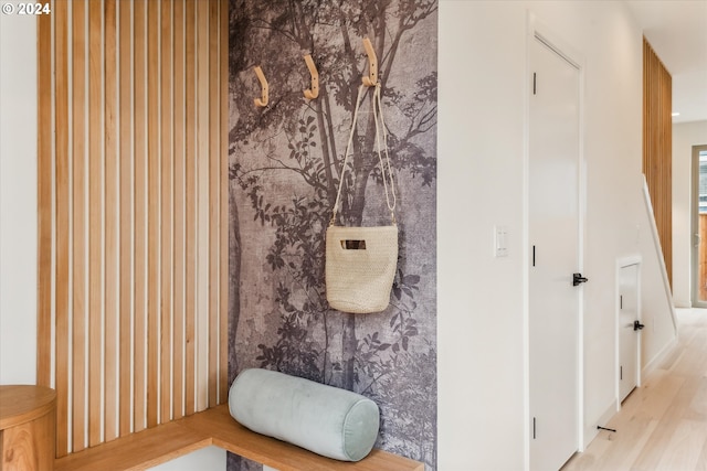 bathroom featuring wood-type flooring