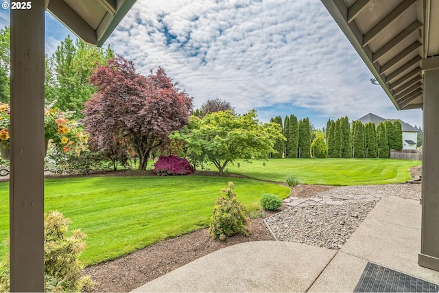view of grassy yard